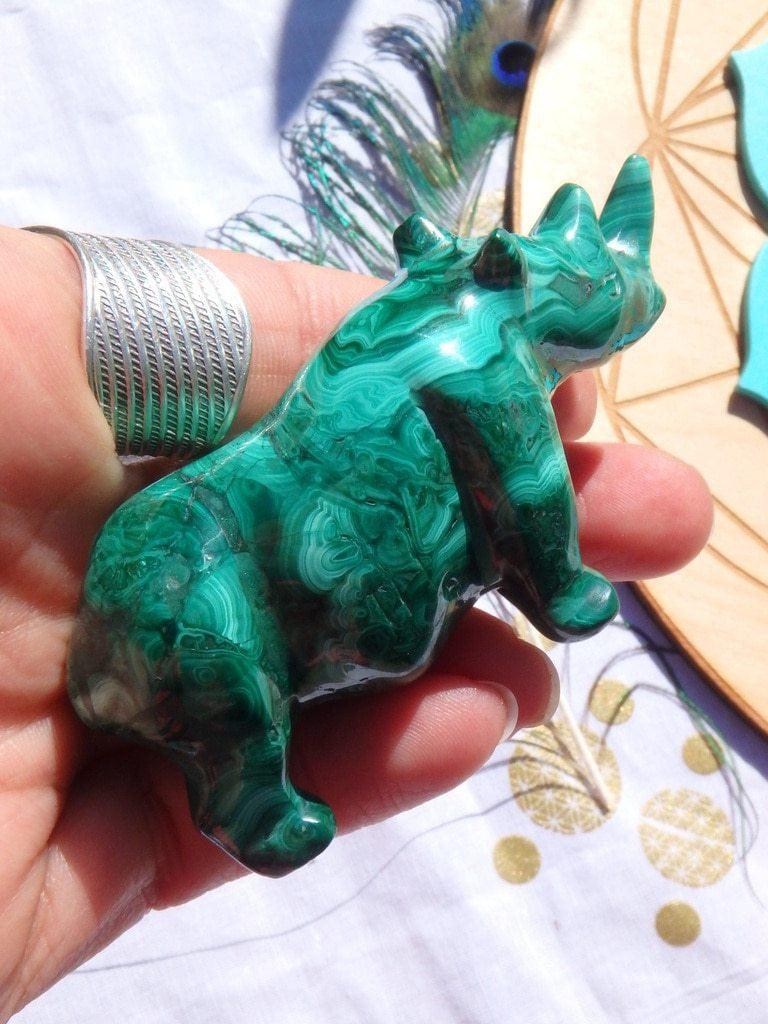 Amazing Green Swirls Malachite  Rhinoceros Carving - Earth Family Crystals