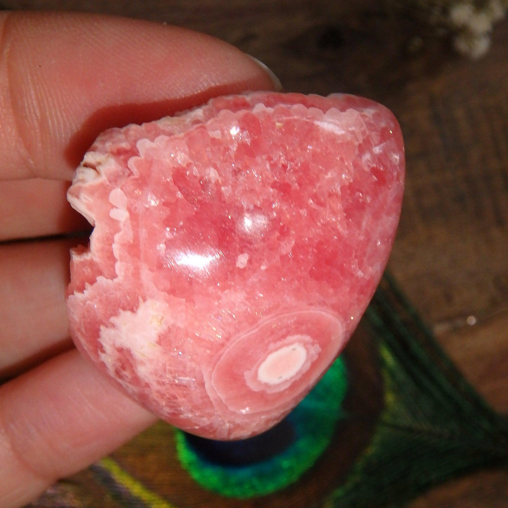 AA Grade Rare Bright Pink Rhodochrosite Partially Polished From Argentina - Earth Family Crystals