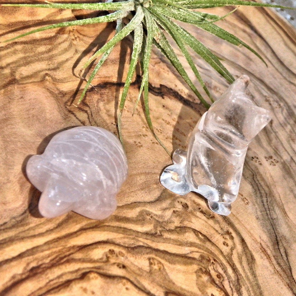 Adorable Rose Quartz Turtle & Owl Clear Quartz Set - Earth Family Crystals