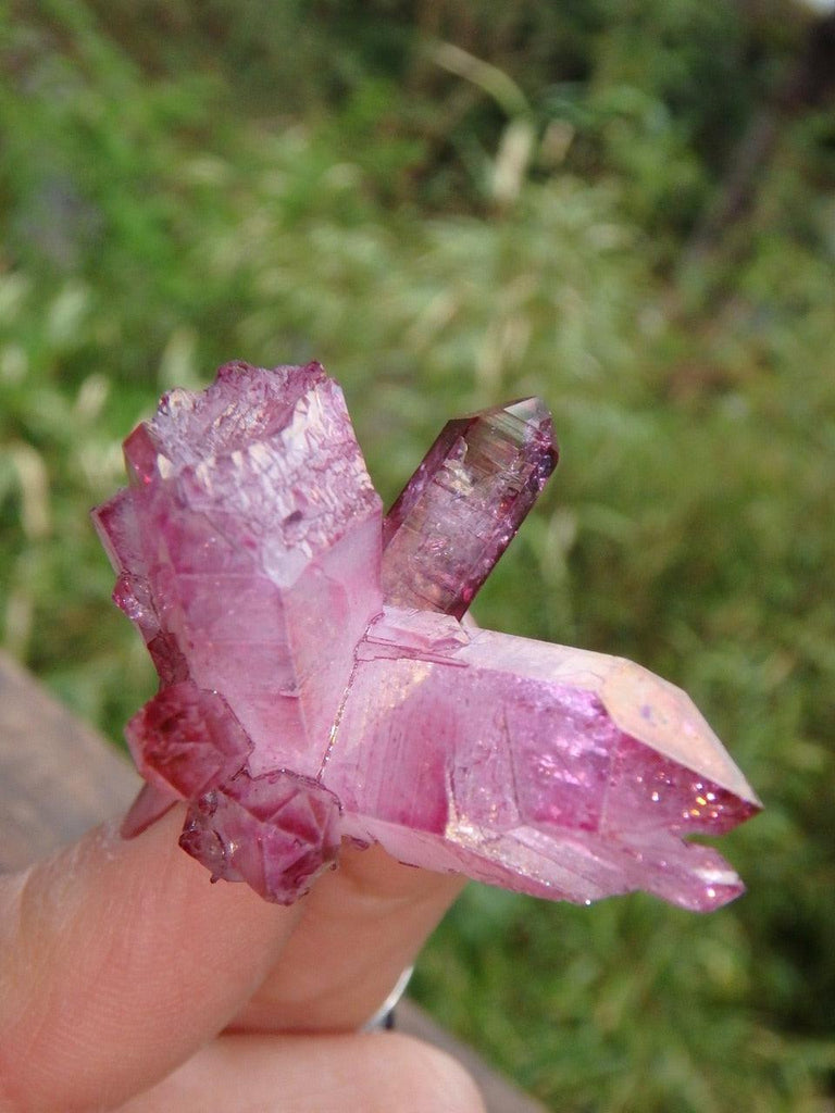 Lush Raspberry Rose Aura Cluster Specimen 2 - Earth Family Crystals