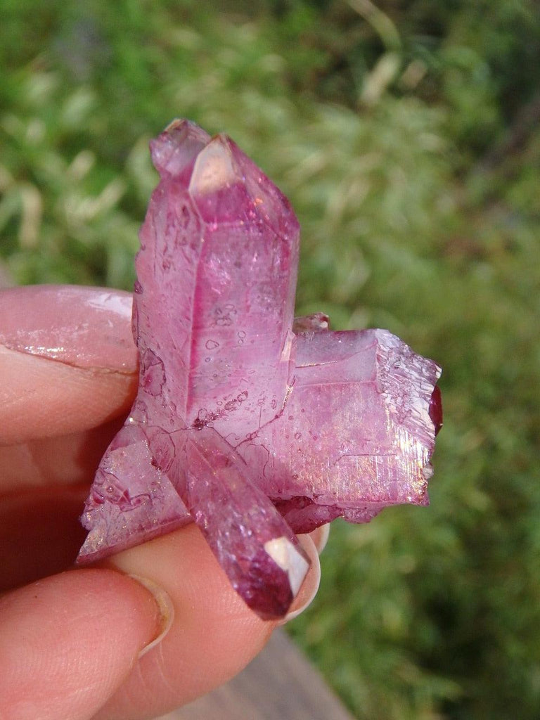 Lush Raspberry Rose Aura Cluster Specimen 2 - Earth Family Crystals