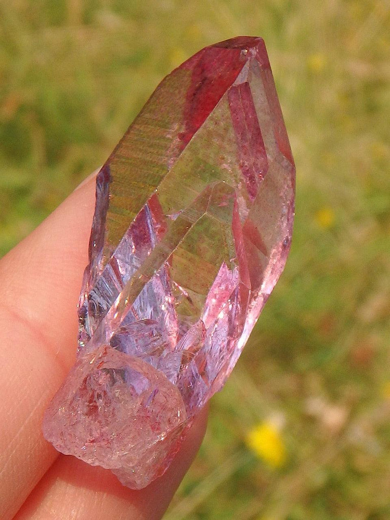 Rare & Amazing Colombian Lemurian Rose Aura Quartz Point 3 - Earth Family Crystals