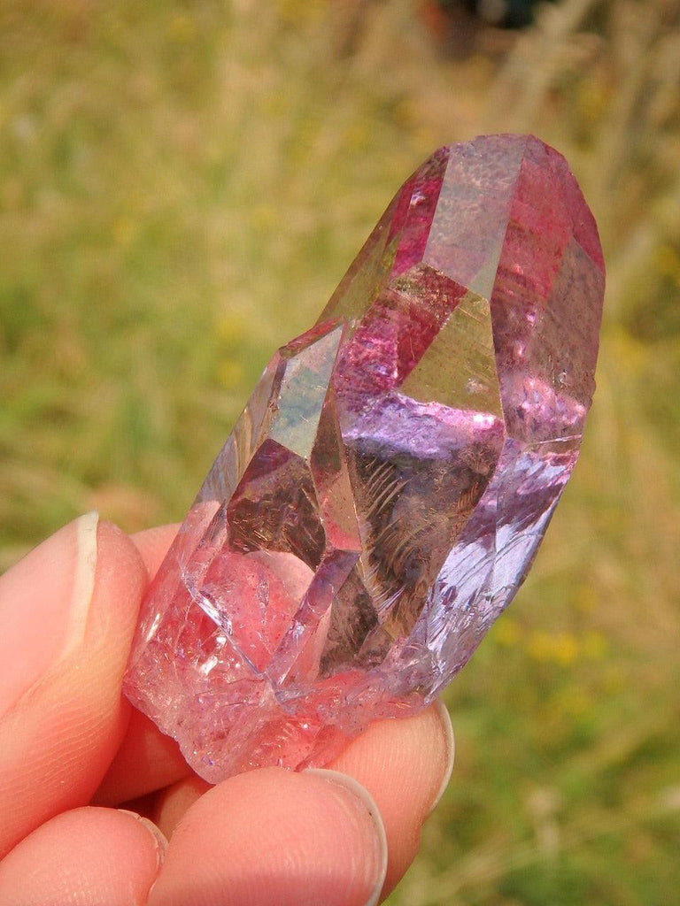 Rare & Amazing Colombian Lemurian Rose Aura Quartz Point 3 - Earth Family Crystals