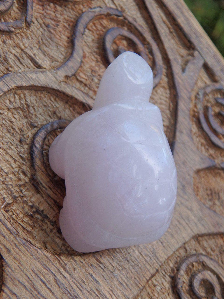 Adorable Creamy Pink Turtle Carving - Earth Family Crystals