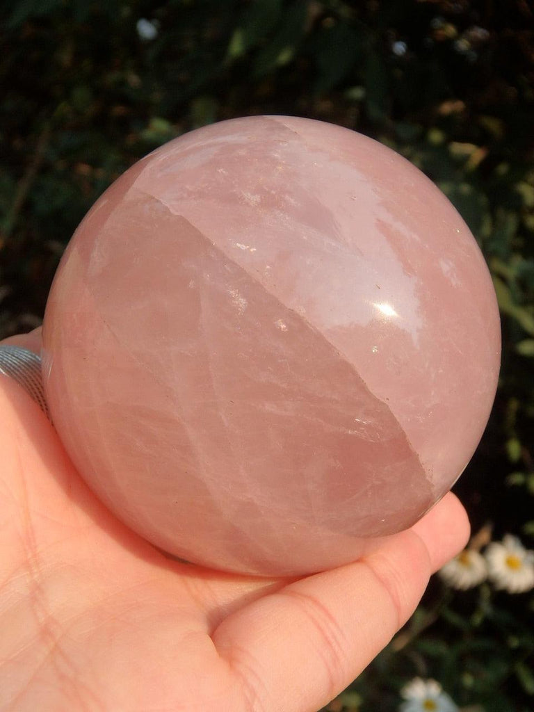 Large Sweet  Pink Rose Quartz Sphere Carving - Earth Family Crystals