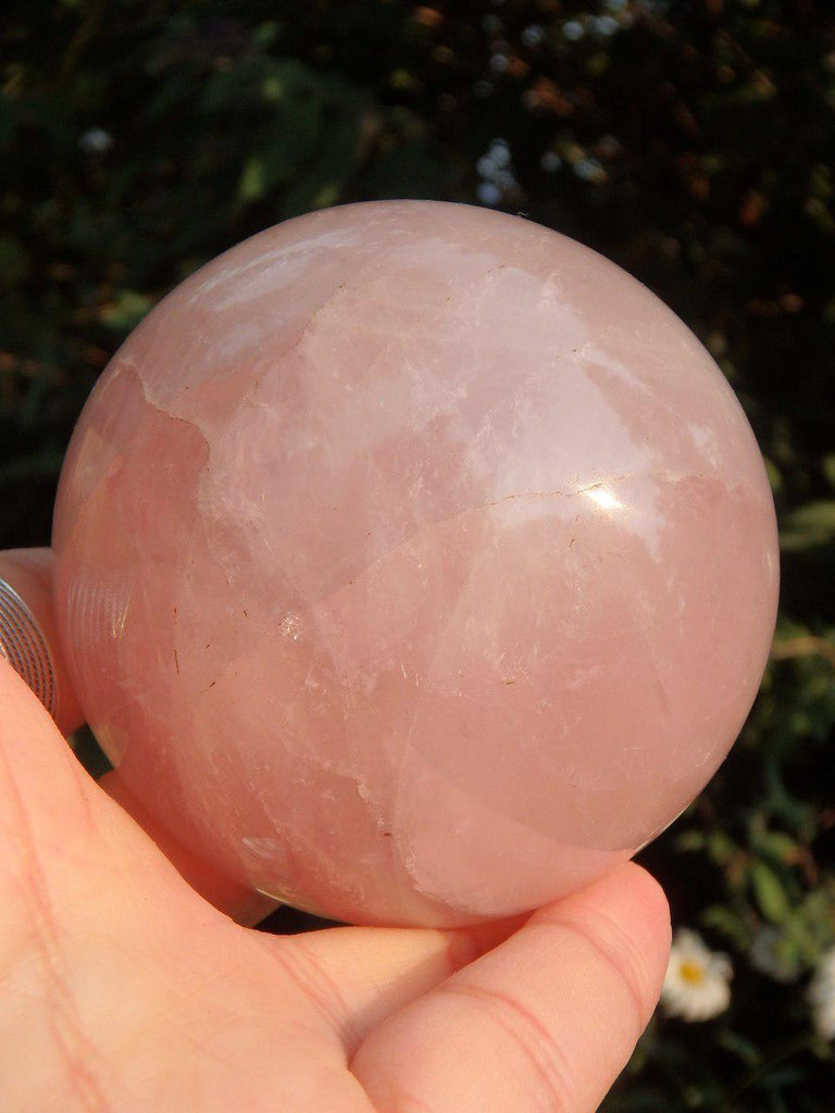 Large Sweet  Pink Rose Quartz Sphere Carving - Earth Family Crystals