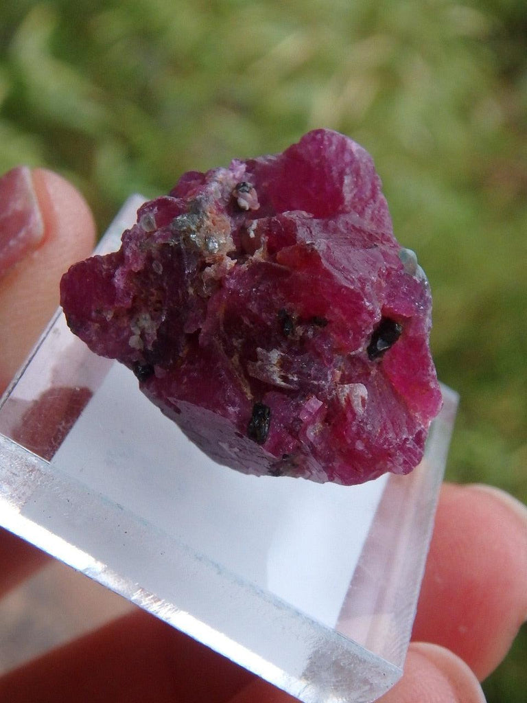 Lovely Red Morogoro Ruby Collectors Specimen - Earth Family Crystals
