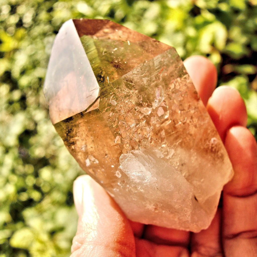 Brilliant Natural Smoky Rutilated Quartz Point With Druzy Frosting From Brazil - Earth Family Crystals