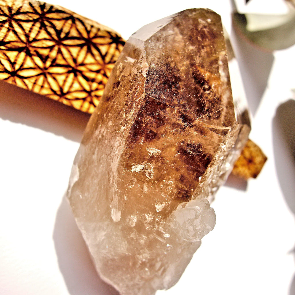 Brilliant Natural Smoky Rutilated Quartz Point With Druzy Frosting From Brazil - Earth Family Crystals