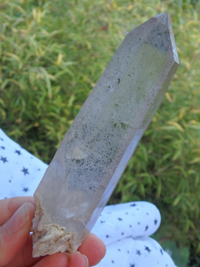 Record Keepers Galore! Slightly Smoky Long Point With Rutilated Quartz Threads - Earth Family Crystals