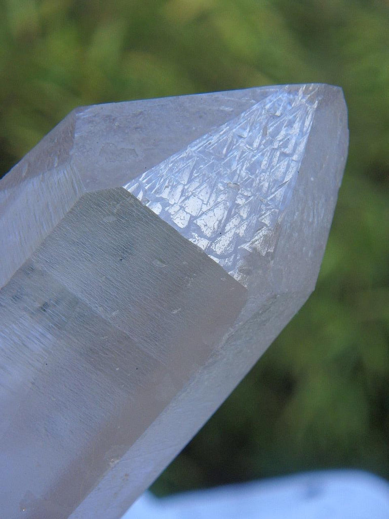 Record Keepers Galore! Slightly Smoky Long Point With Rutilated Quartz Threads - Earth Family Crystals