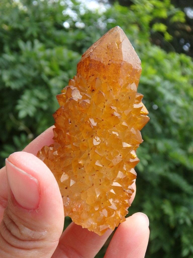 Natural Orange Saturation Citrine Spirit Quartz Point - Earth Family Crystals