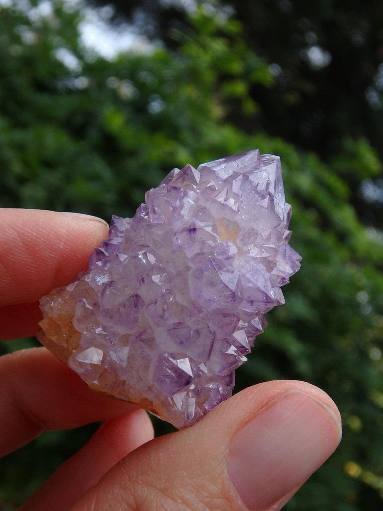 Pretty Purple Sparkle Ametrine Spirit Quartz Point - Earth Family Crystals