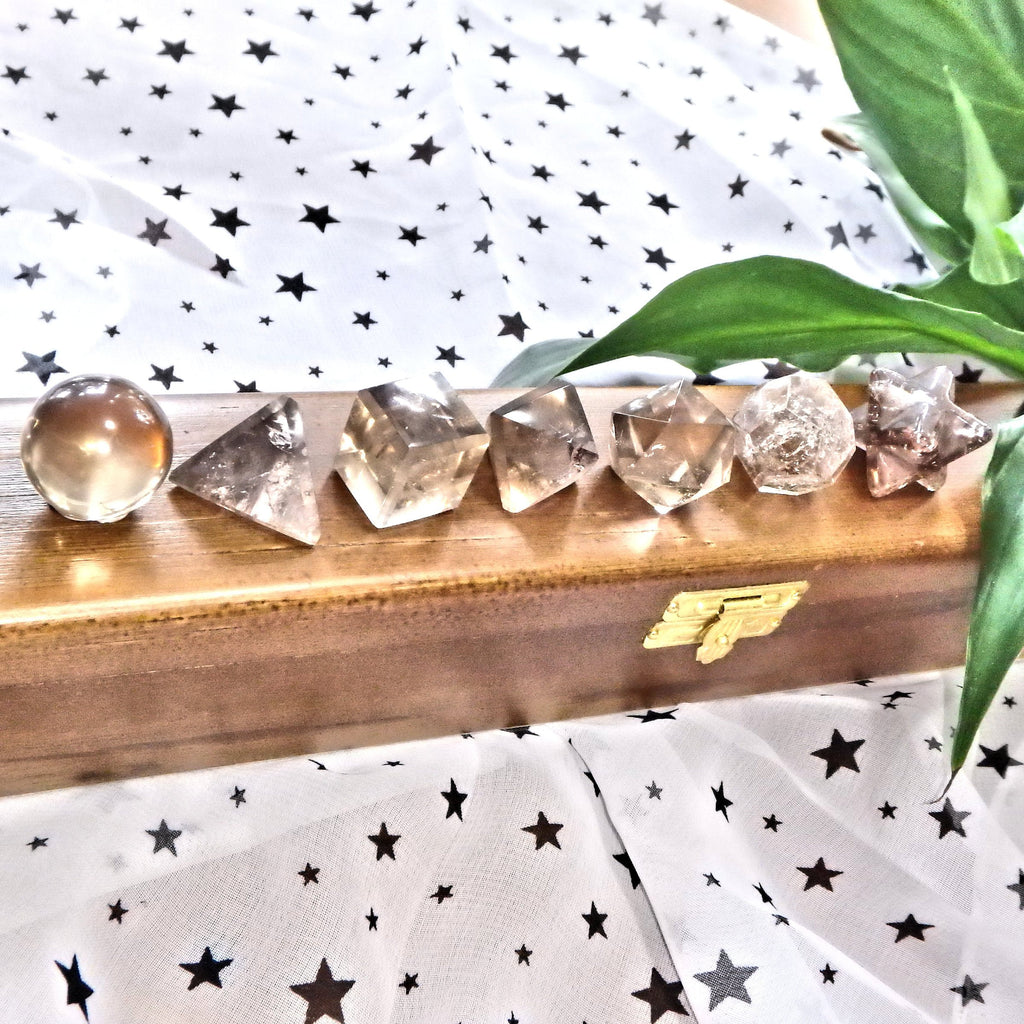 Complete 7 Stone Smoky Quartz Sacred Geometry (Platonic solids) Carvings in Protective Wood Case - Earth Family Crystals