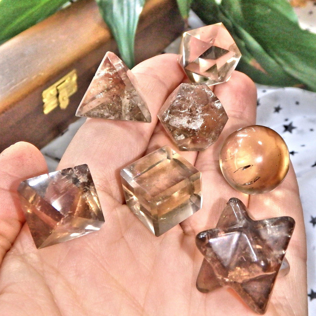 Complete 7 Stone Smoky Quartz Sacred Geometry (Platonic solids) Carvings in Protective Wood Case - Earth Family Crystals