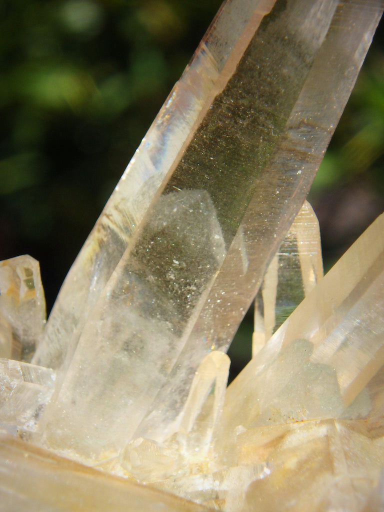 Incredible Phantom Included Points Samadhi Himalayan Quartz Specimen From India - Earth Family Crystals
