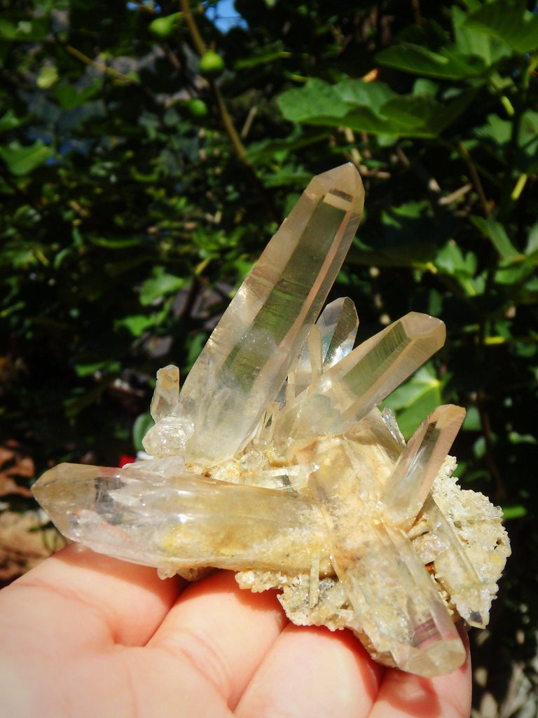 Incredible Phantom Included Points Samadhi Himalayan Quartz Specimen From India - Earth Family Crystals