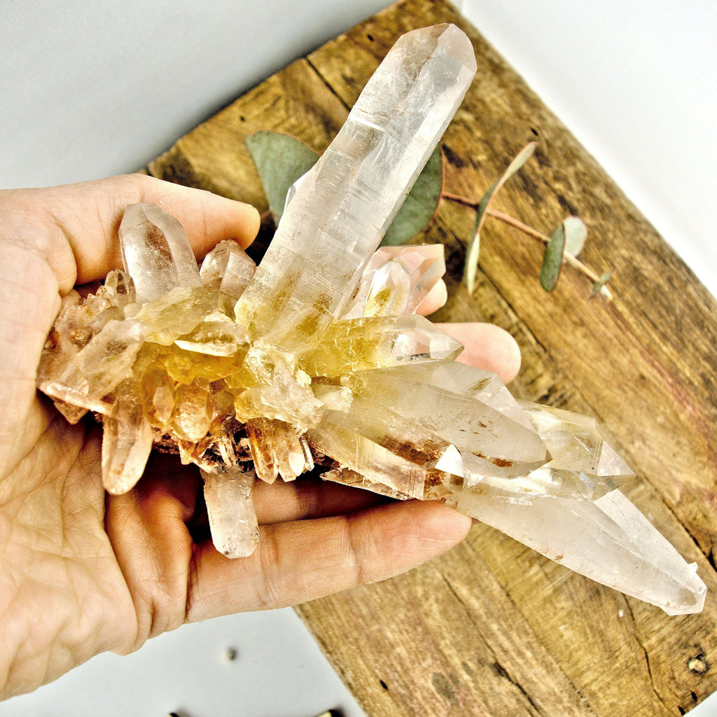 AA Grade Incredible Large Pink & Golden DT Elestial Samadhi Quartz Cluster From The Himalayas - Earth Family Crystals
