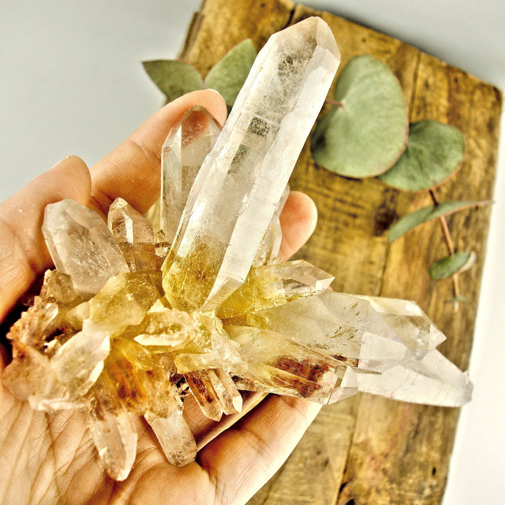 AA Grade Incredible Large Pink & Golden DT Elestial Samadhi Quartz Cluster From The Himalayas - Earth Family Crystals