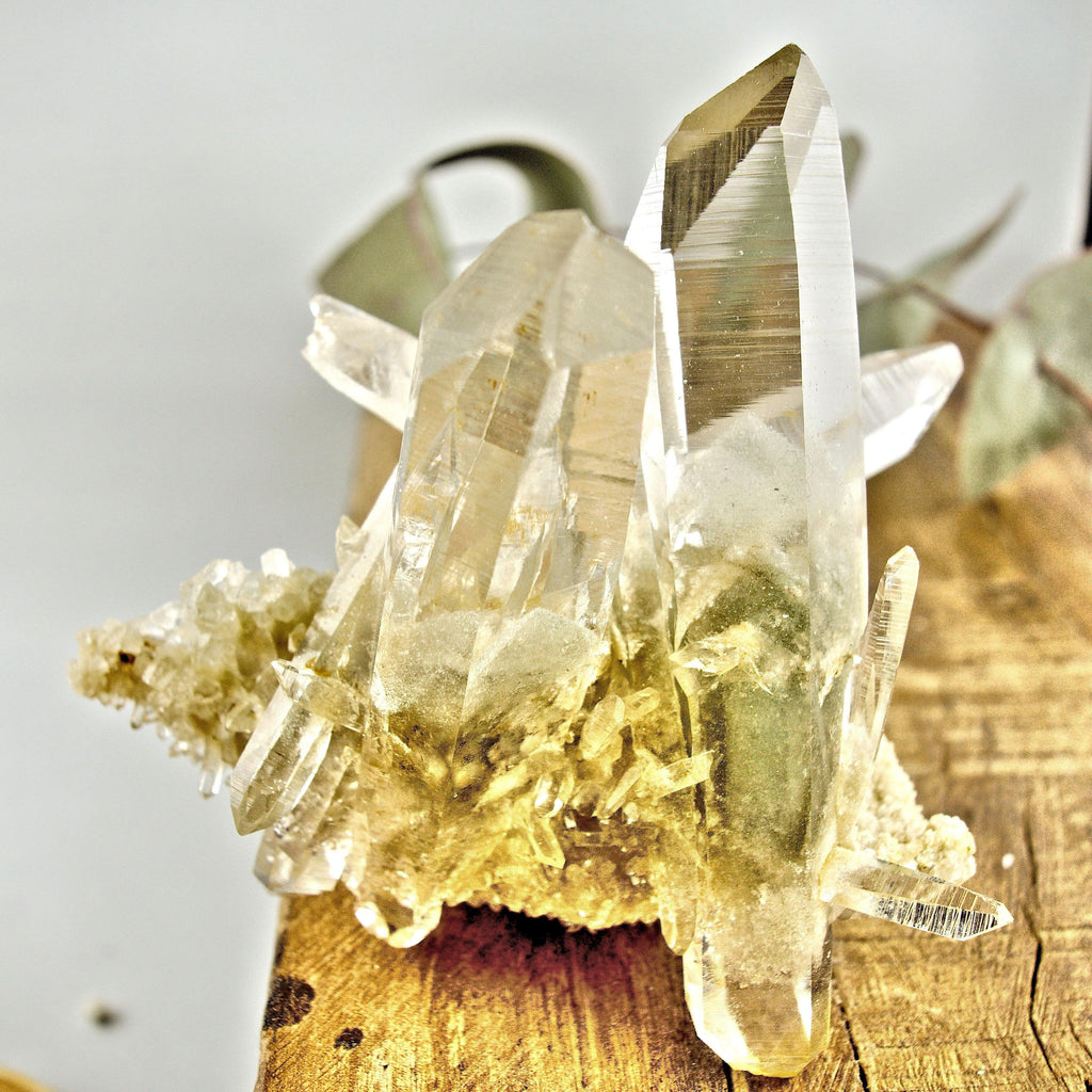 AA Grade Fabulous Phantom Included Green Samadhi Quartz DT Elestial Cluster From The Himalayas - Earth Family Crystals