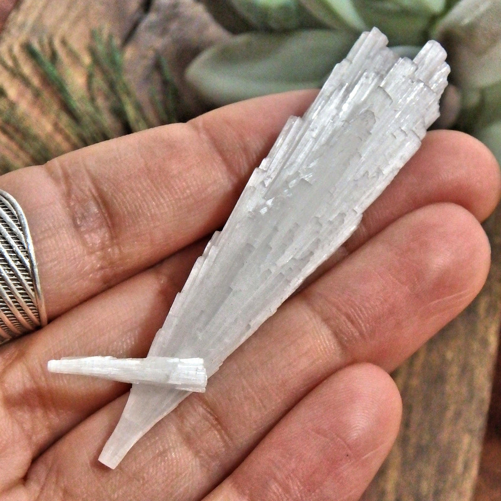 High Sheen Natural Scolecite Point Specimen From India 2 - Earth Family Crystals