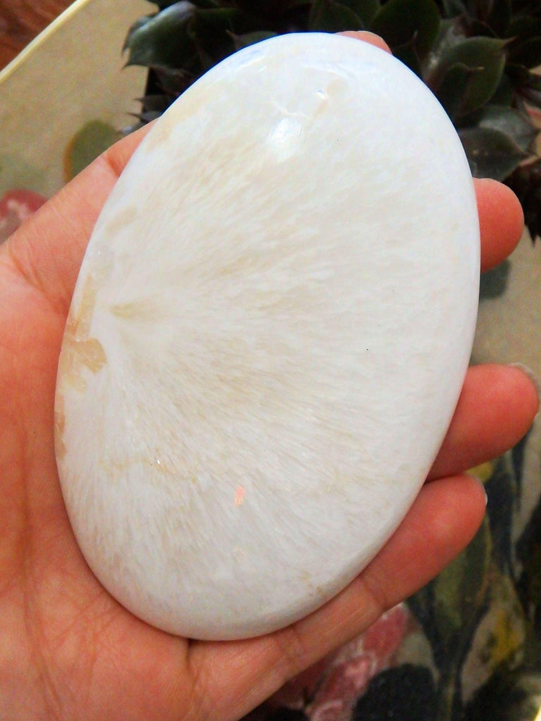 Blooming Flower Pattern Polished Scolecite Oval Palm Stone From India - Earth Family Crystals
