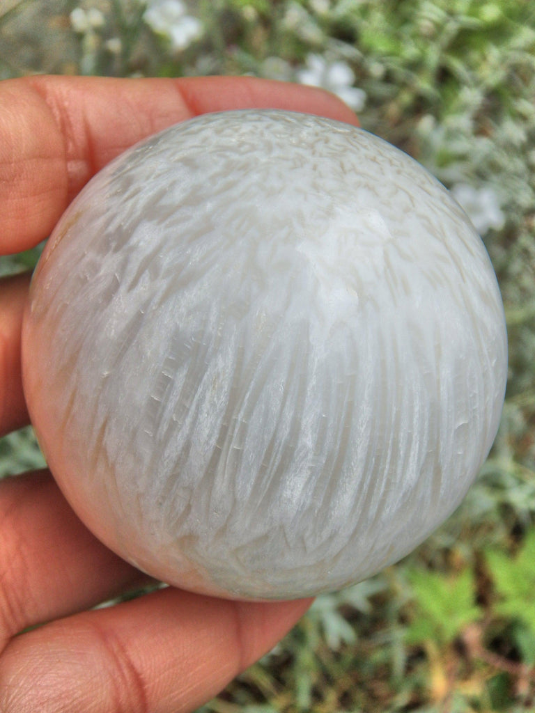 Silky Blooming Flower Patterns Creamy White Scolecite Sphere From India - Earth Family Crystals