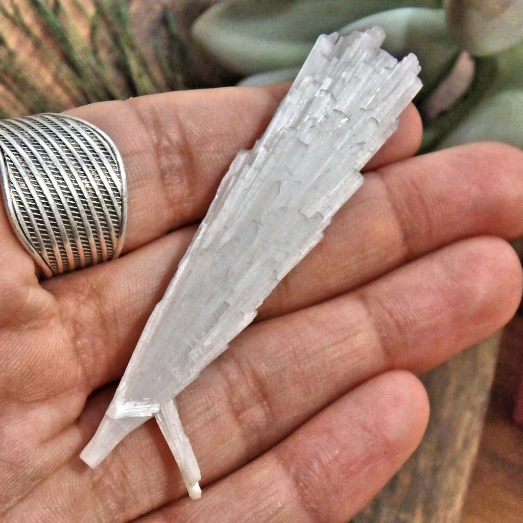 High Sheen Natural Scolecite Point Specimen From India 2 - Earth Family Crystals