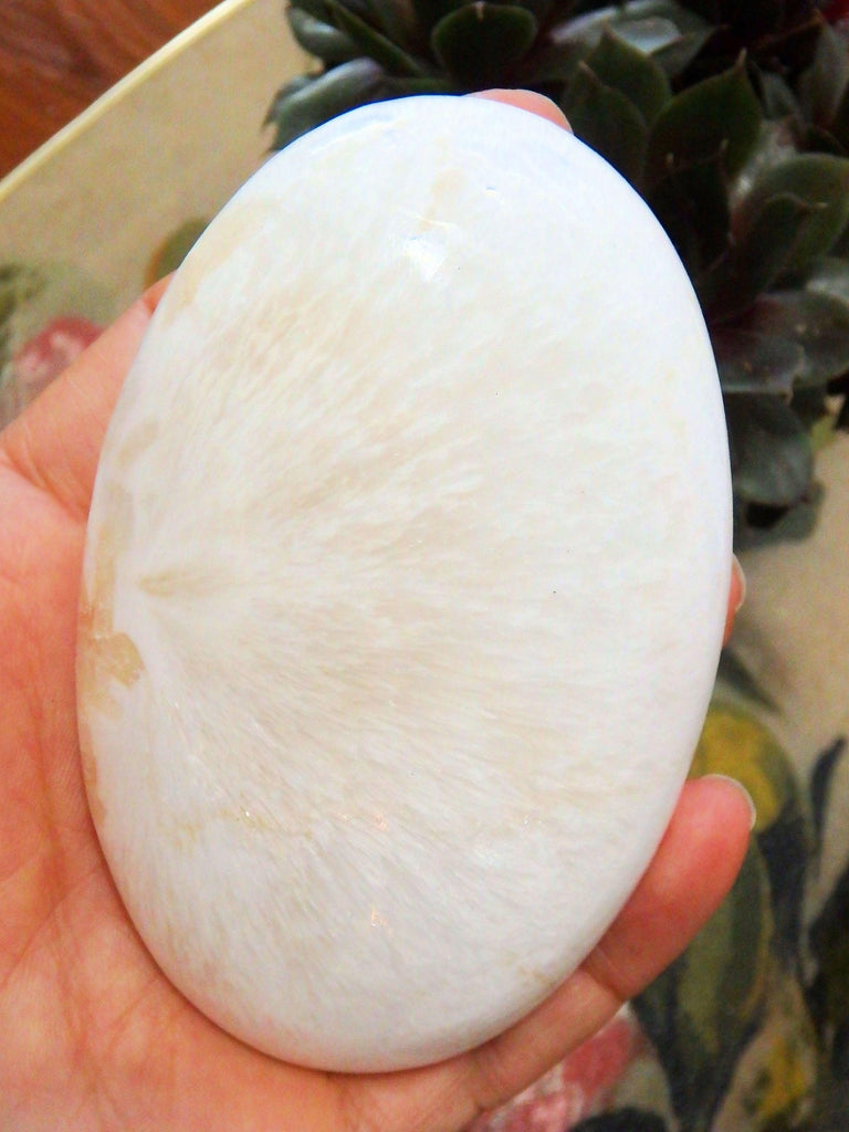 Blooming Flower Pattern Polished Scolecite Oval Palm Stone From India - Earth Family Crystals