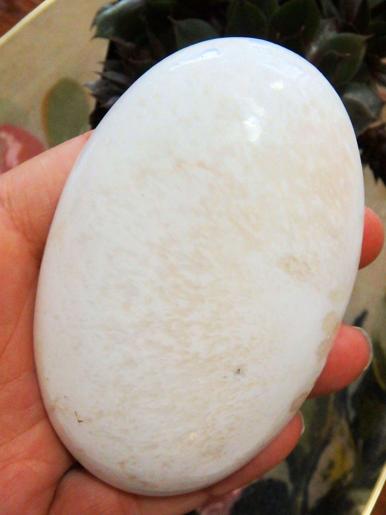 Blooming Flower Pattern Polished Scolecite Oval Palm Stone From India - Earth Family Crystals