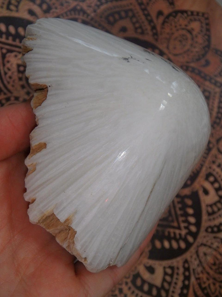 Fabulous Large Scolecite Partially Polished Dome Specimen - Earth Family Crystals