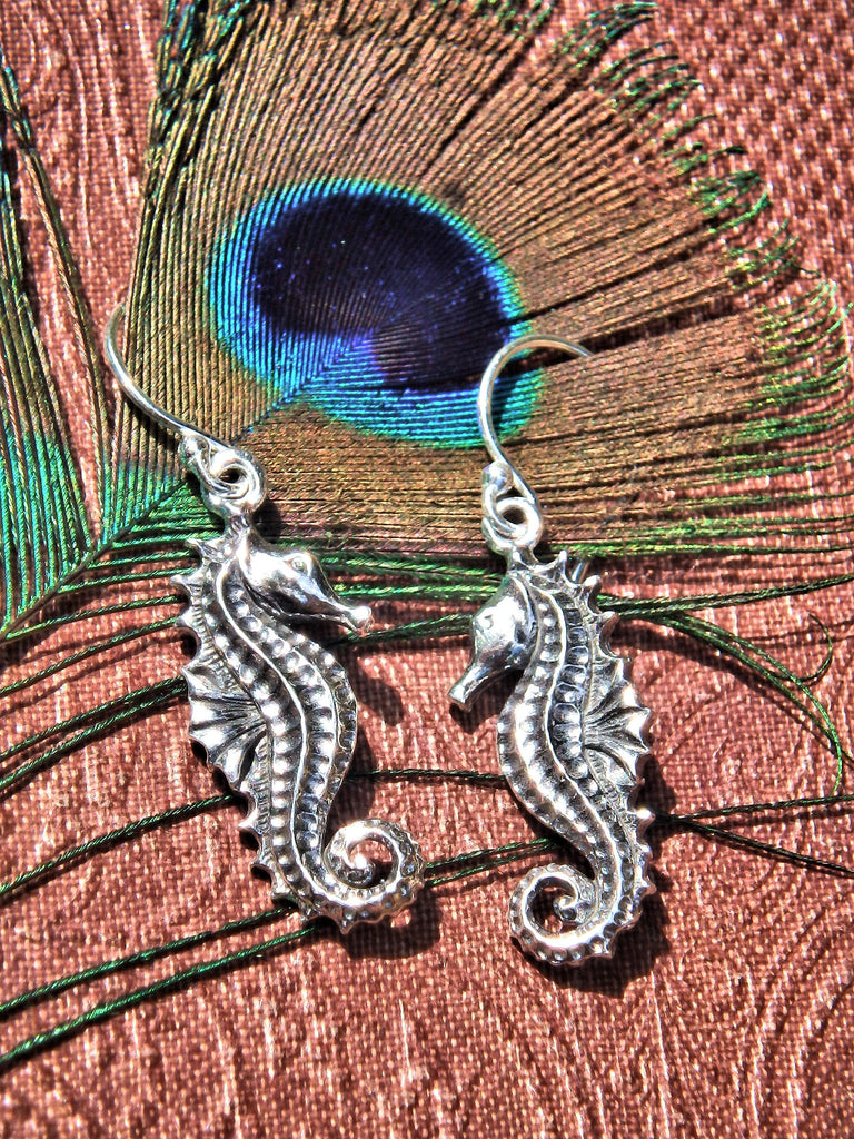 Adorable Seahorse Earrings in Sterling Silver 1 - Earth Family Crystals