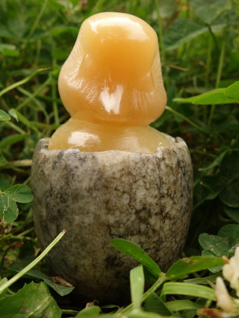 Adorable Orange Selenite Hatching Chick on Rock Egg Bowl (Perfect to Store Small Crystals in) - Earth Family Crystals
