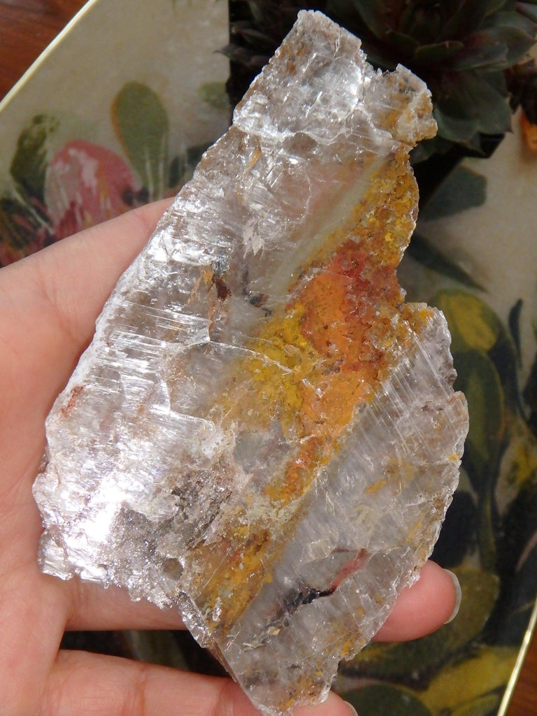 High Shine Greek Optical Selenite Raw Free Form Specimen 1 - Earth Family Crystals