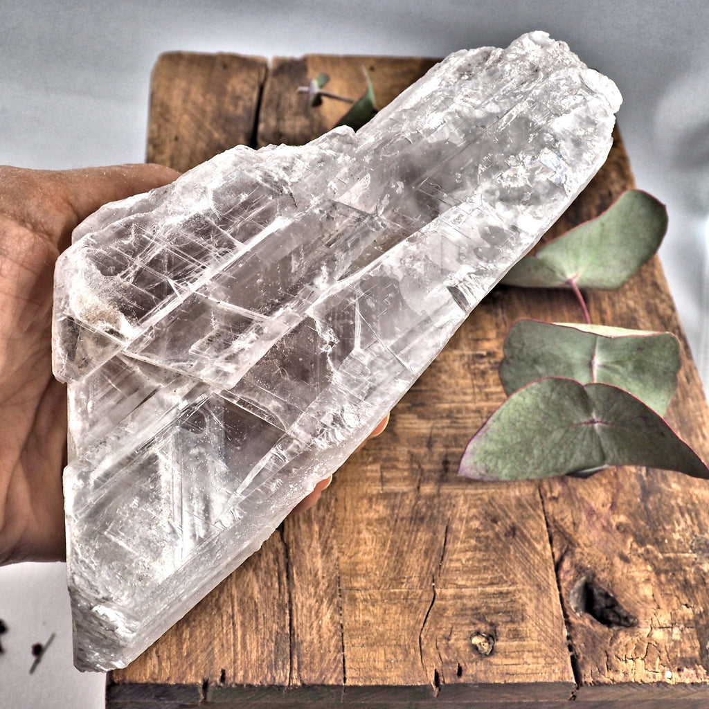 XL Chunky Optical Selenite Satin Spar Raw Specimen From Mexico - Earth Family Crystals