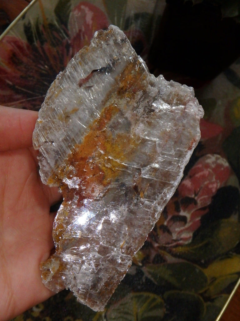 High Shine Greek Optical Selenite Raw Free Form Specimen 1 - Earth Family Crystals