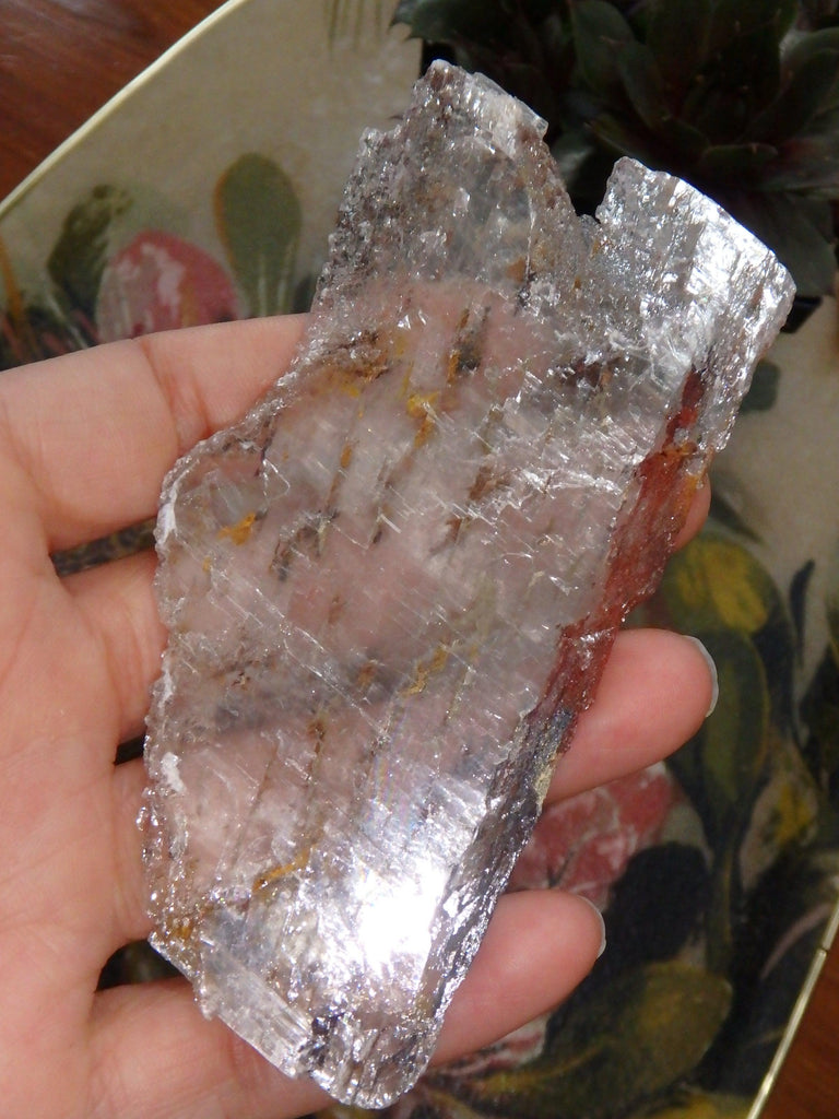 High Shine Greek Optical Selenite Raw Free Form Specimen 2 - Earth Family Crystals