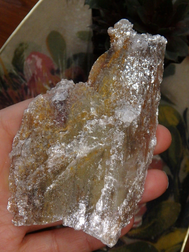 High Shine Greek Optical Selenite Raw Free Form Specimen 1 - Earth Family Crystals