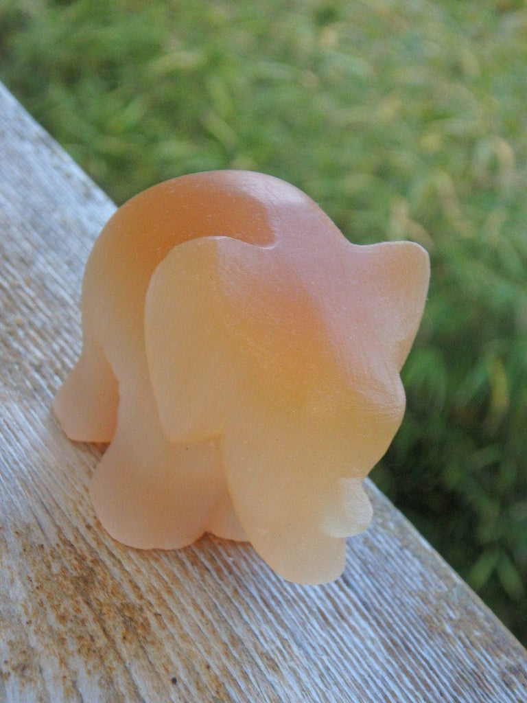 Adorable Orange Selenite Elephant Carving Specimen - Earth Family Crystals
