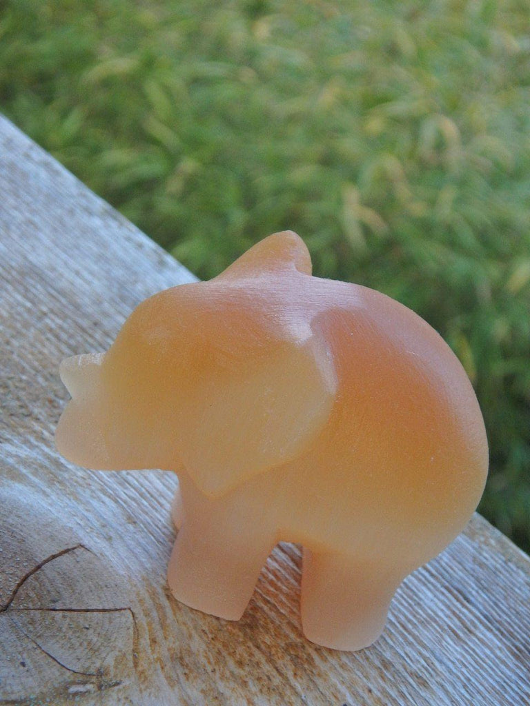 Adorable Orange Selenite Elephant Carving Specimen - Earth Family Crystals