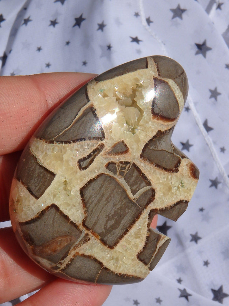 Fabulous Septarian Bear Carving With Druzy Cave-Self Standing - Earth Family Crystals