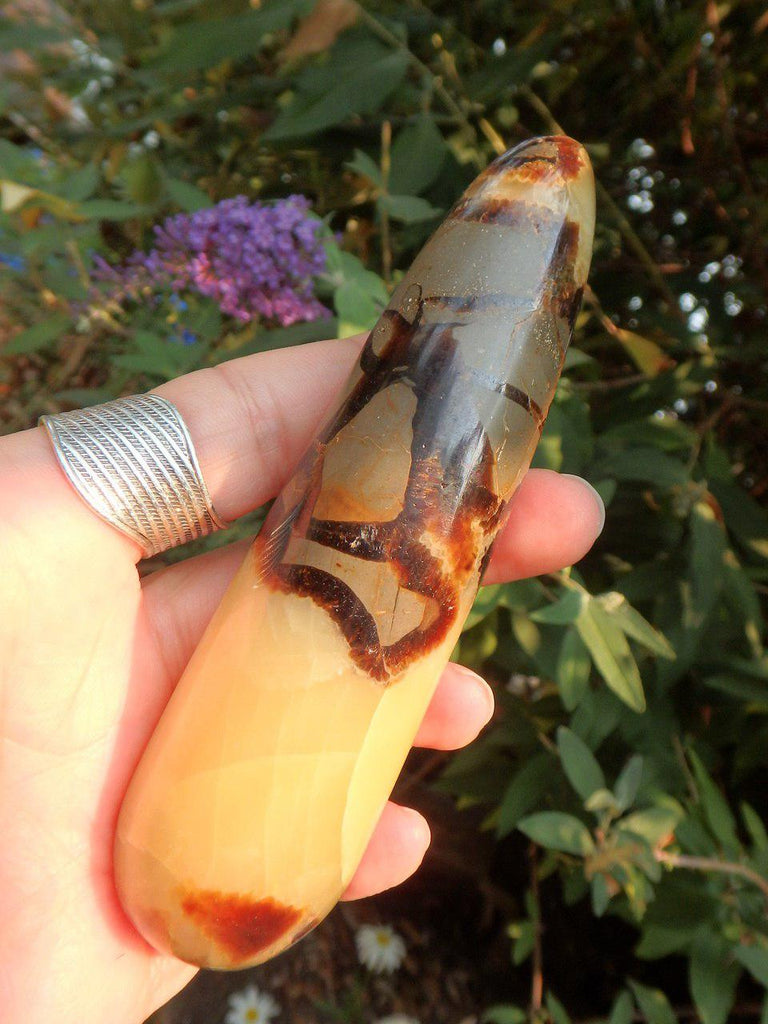 Soothing Golden Brown Septarian Dragon Wand - Earth Family Crystals