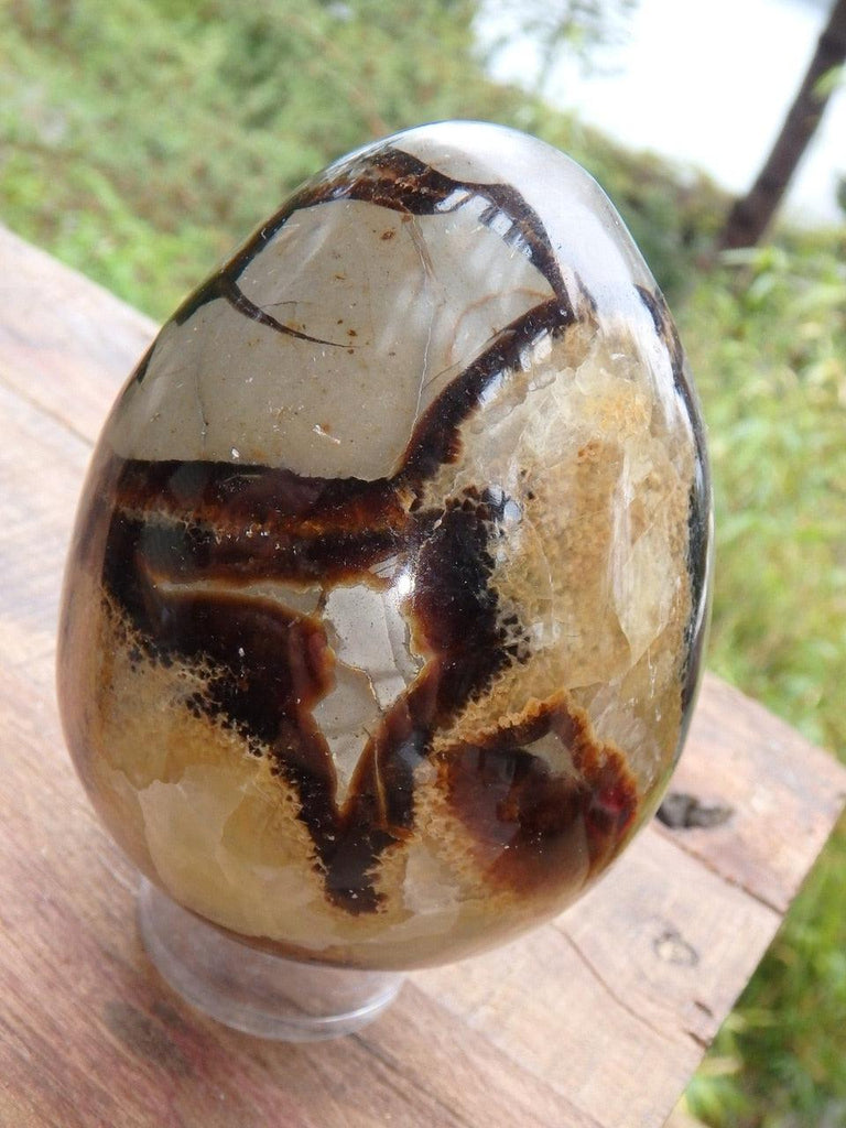 Lovely Depth! Large Septarian Egg Carving - Earth Family Crystals
