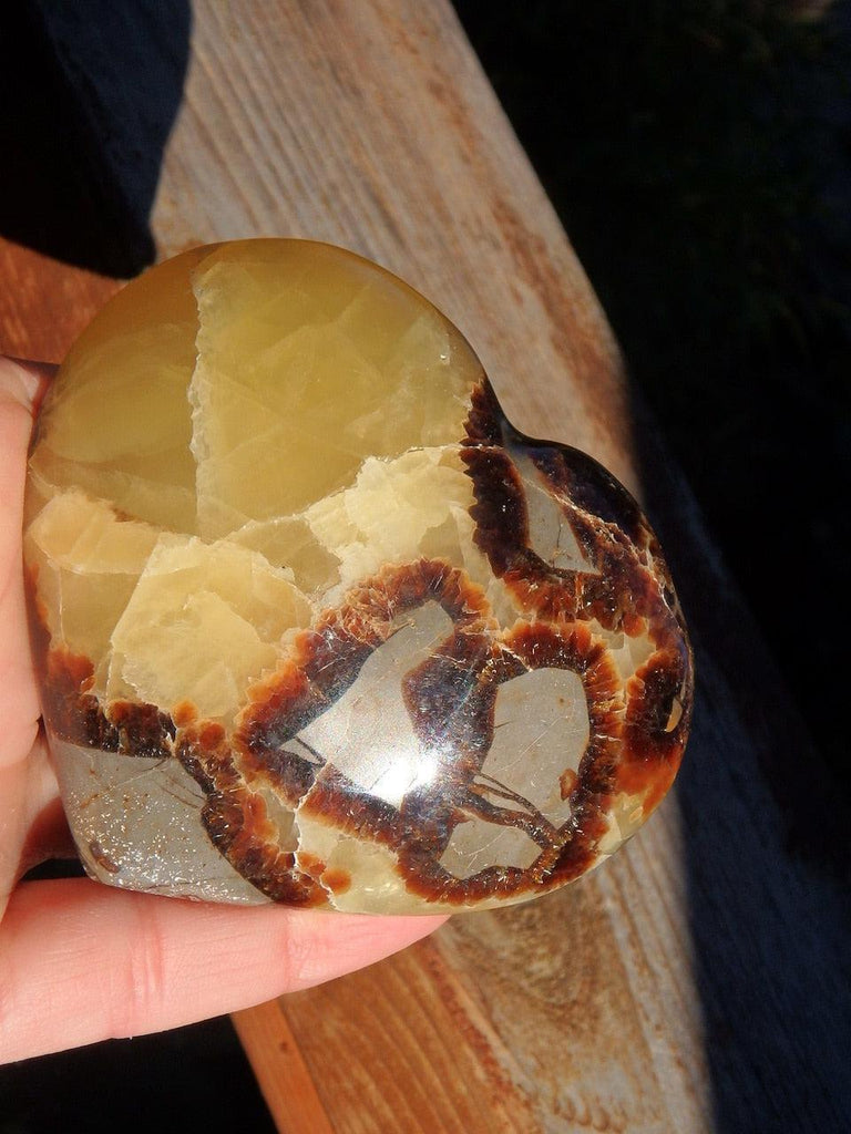 Historic  Vibe Septarian Love Heart Carving - Earth Family Crystals