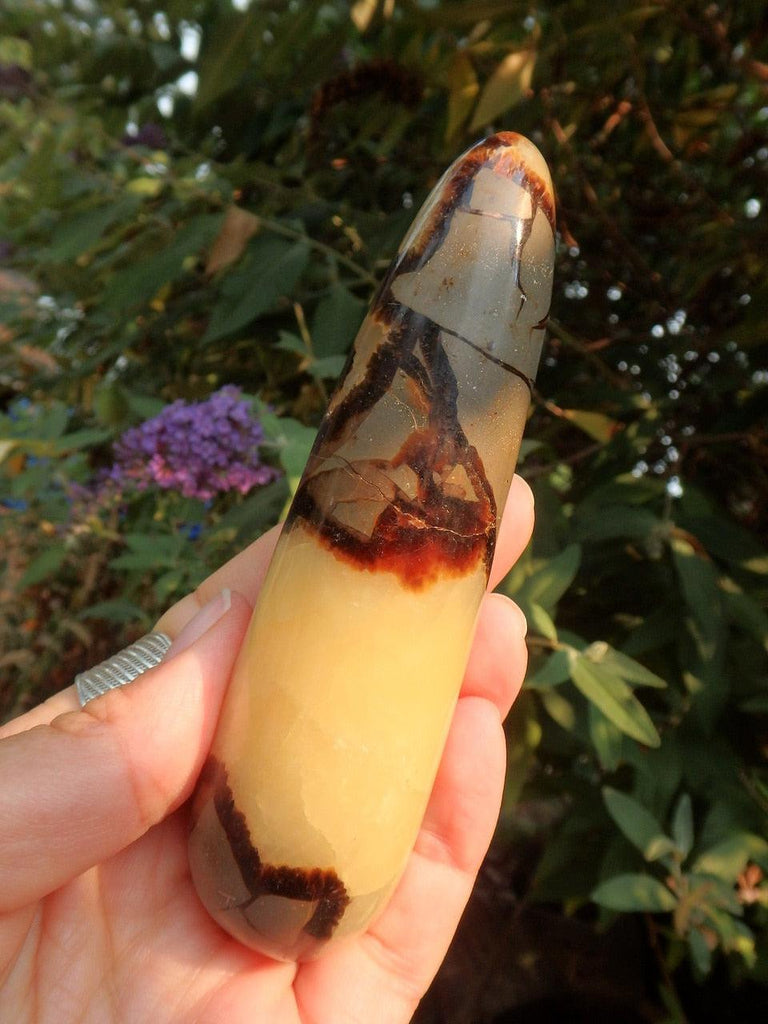 Soothing Golden Brown Septarian Dragon Wand - Earth Family Crystals