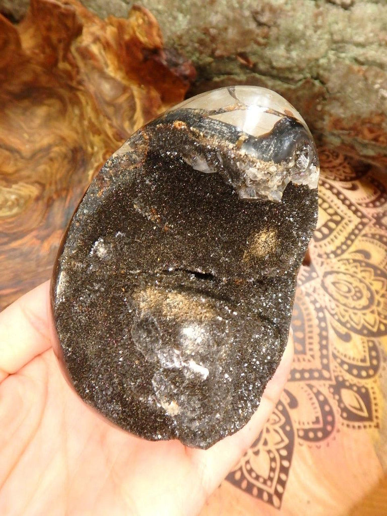 Large & Fascinating Chocolate Brown Druzy Septarian Egg With Clear Calcite Inclusions (REDUCED) - Earth Family Crystals