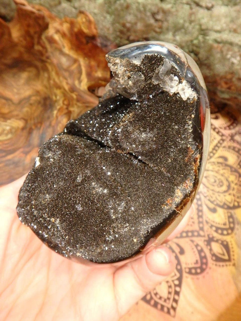 Large & Fascinating Chocolate Brown Druzy Septarian Egg With Clear Calcite Inclusions (REDUCED) - Earth Family Crystals