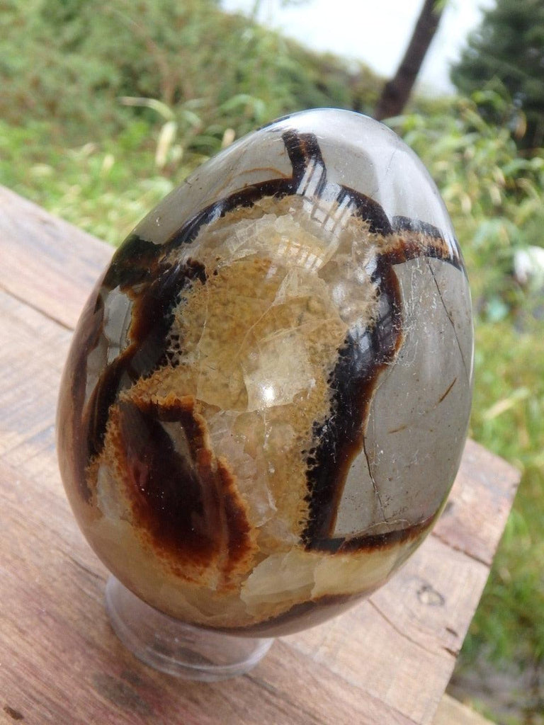 Lovely Depth! Large Septarian Egg Carving - Earth Family Crystals