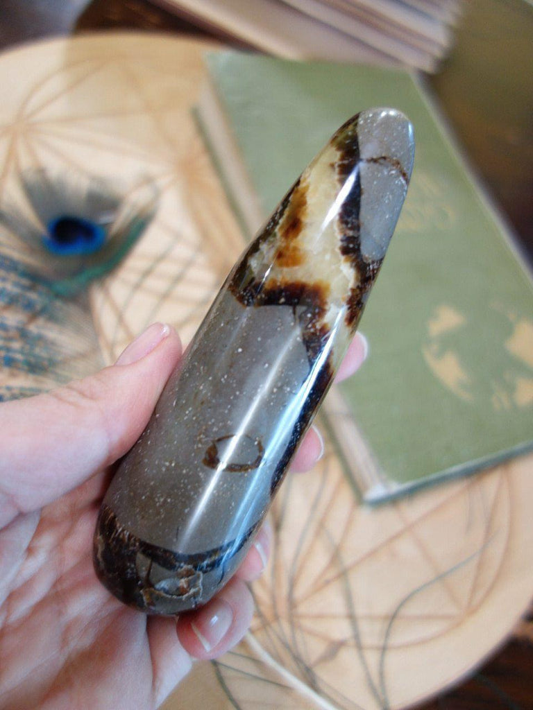 Ancient Vibes!Golden Swirl Septarian Gemstone Wand - Earth Family Crystals