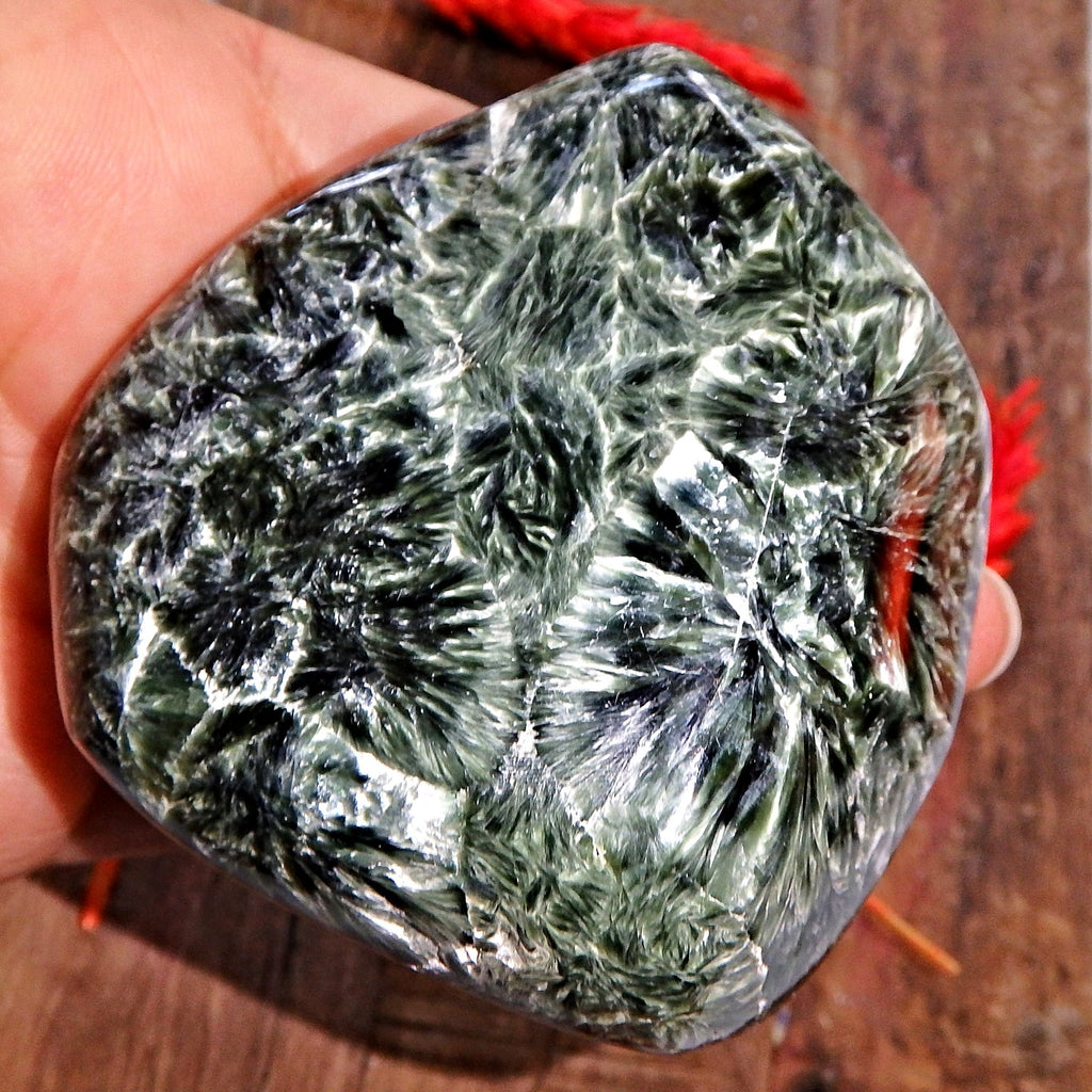 Incredible Large Silvery Angel Wings & Deep Forest Green Seraphinite Specimen - Earth Family Crystals